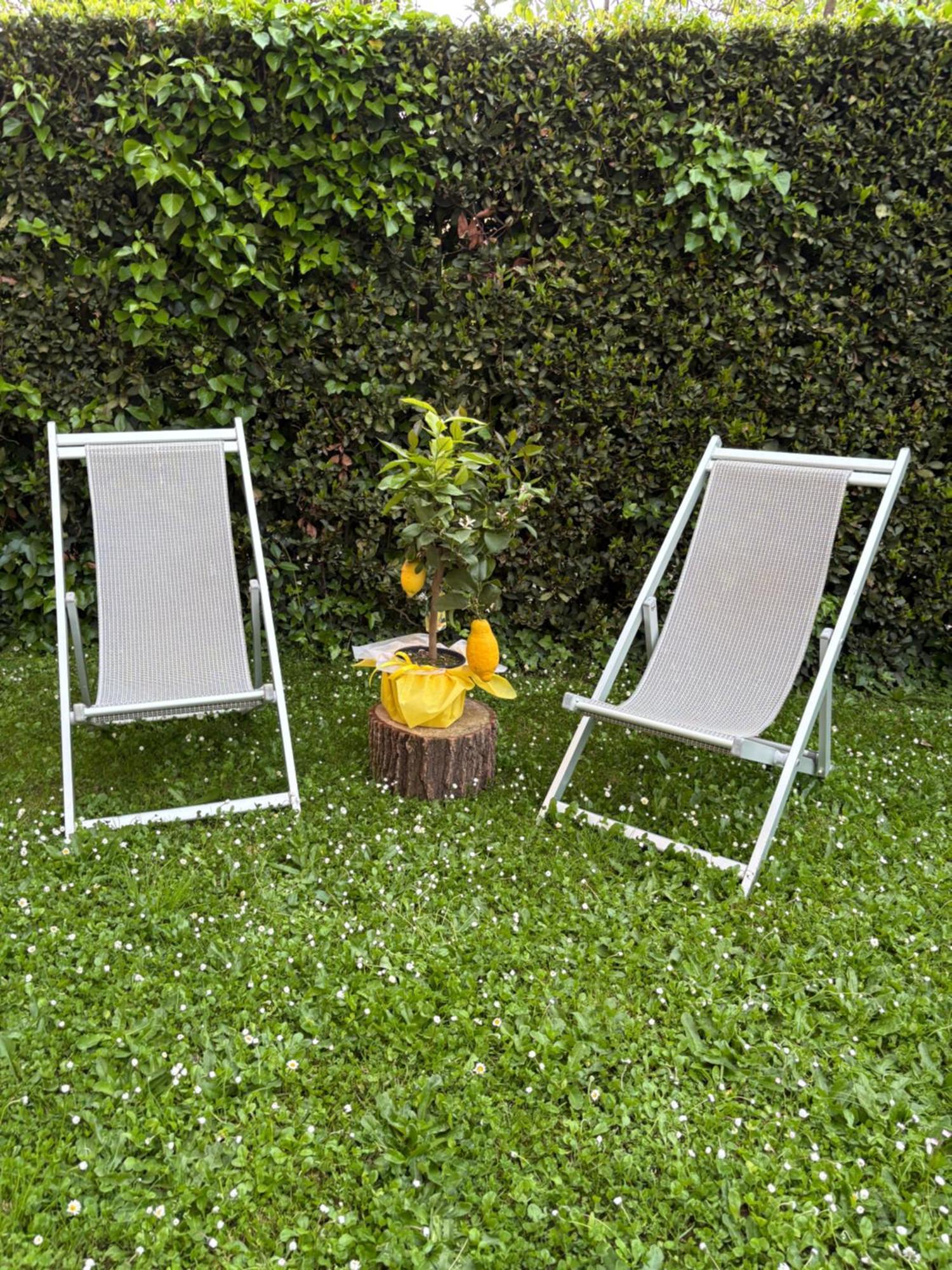 Villa Agnese B&B Lucca Bagian luar foto